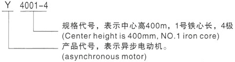 西安泰富西玛Y系列(H355-1000)高压YJTG-315L1-6A/110KW三相异步电机型号说明