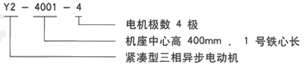 YR系列(H355-1000)高压YJTG-315L1-6A/110KW三相异步电机西安西玛电机型号说明